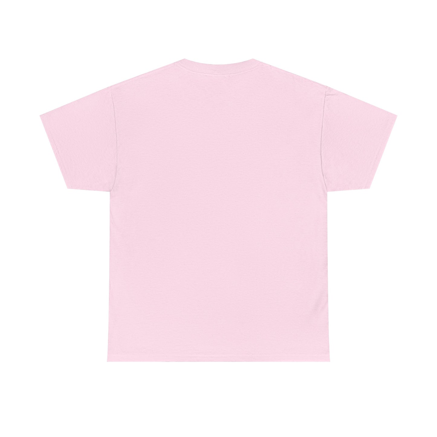 “These Hoes Don't Deserve Me” Tee